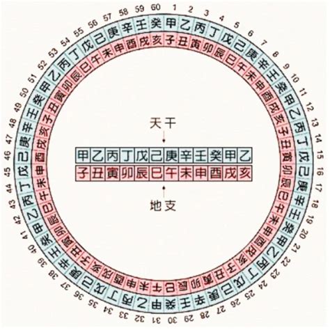 1983 天干地支|天干属性 干支纪年对照表